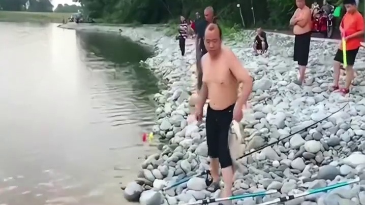 钓了个寂寞，到嘴的肉又跑了