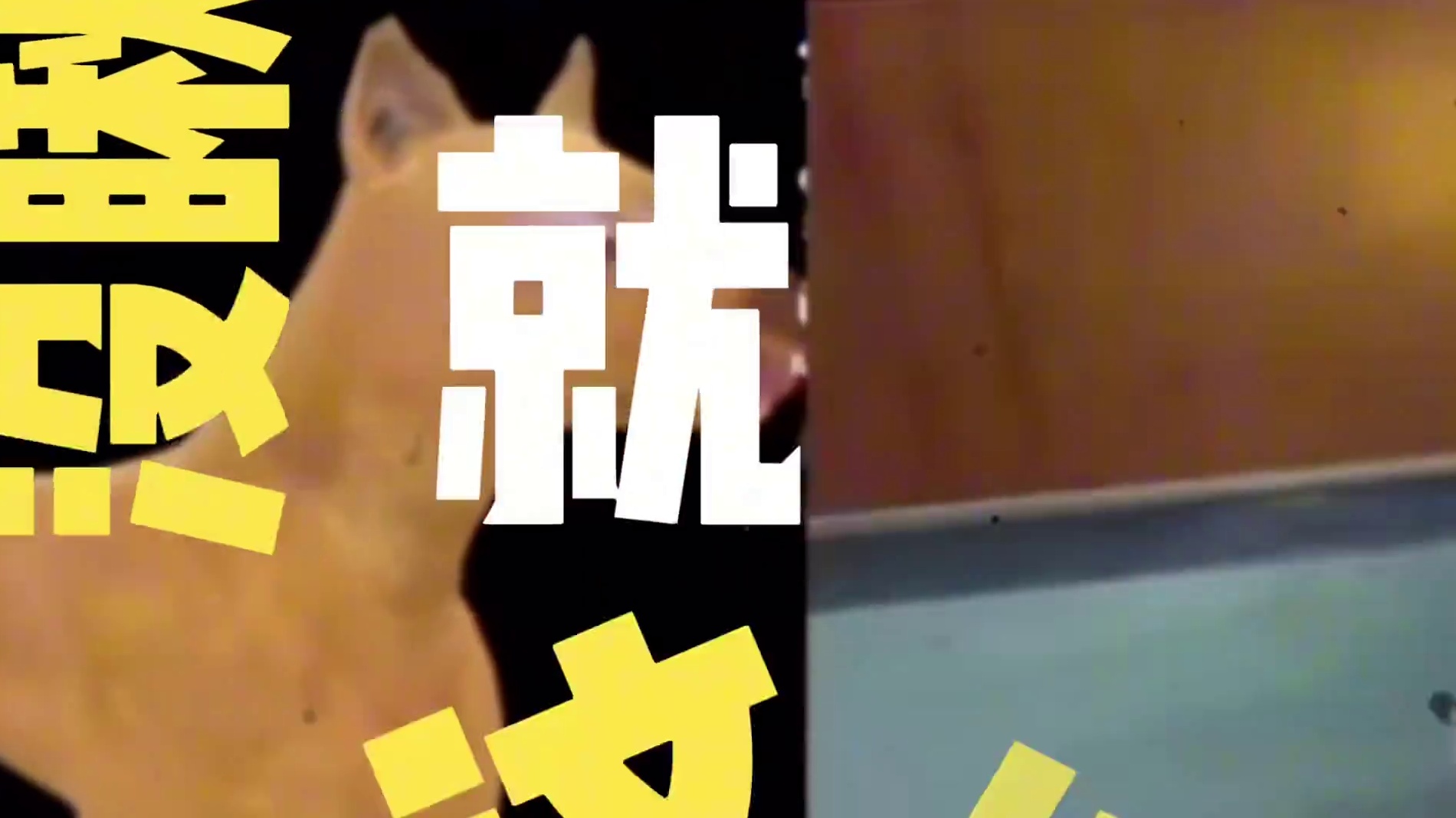 南波万谈最近三角洲行动巴克什爆率，非洲之星出2颗了三幻神一个见不到，天圆地方都没有