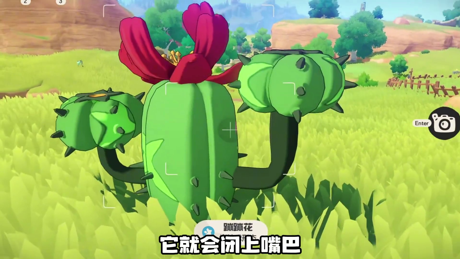洛克王国精灵生态观察：蹦蹦花