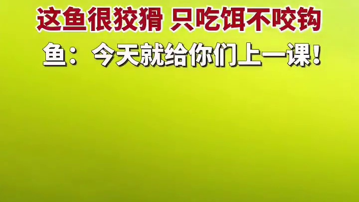 水底实拍鱼咬饵过程，这鱼很狡猾，只吃饵不咬钩，鱼：今天就给你们上一课！