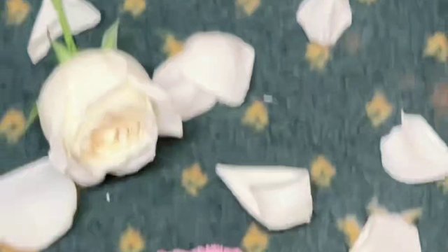 转场 易如反掌