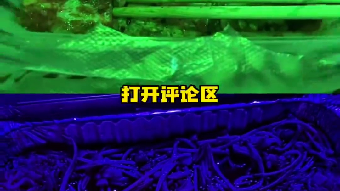 想减肥可以去KTV吃饭

KTV里面灯光照的饭看着都不香了，实在是吃不下去怪不得色香味俱全色排在第一