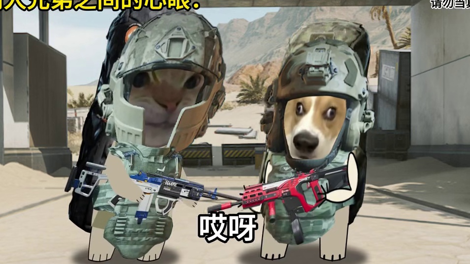 别人兄弟之间vs我和兄弟之间