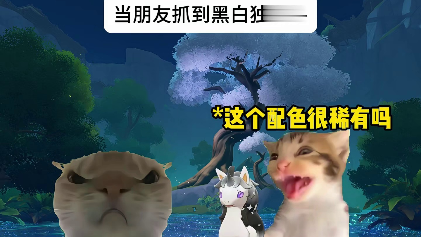 当朋友抓到黑白独角兽