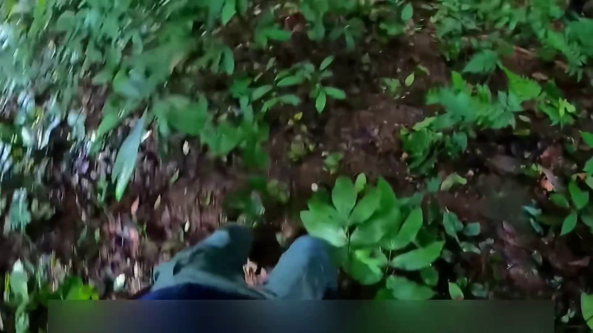 天麒哥东南亚热带雨林生存，利用超强打野技能过上度假生活