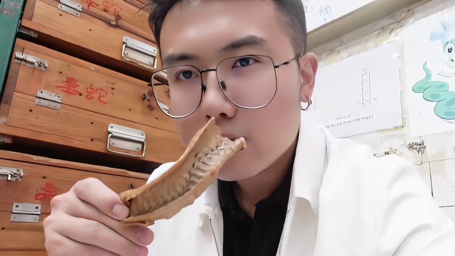 探秘香港蛇王美食是怎样的？