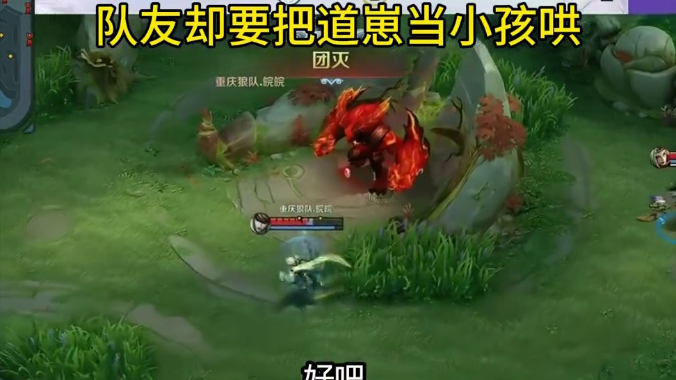 道崽太子