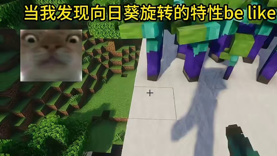 我的世界：当我发现向日葵旋转的特性