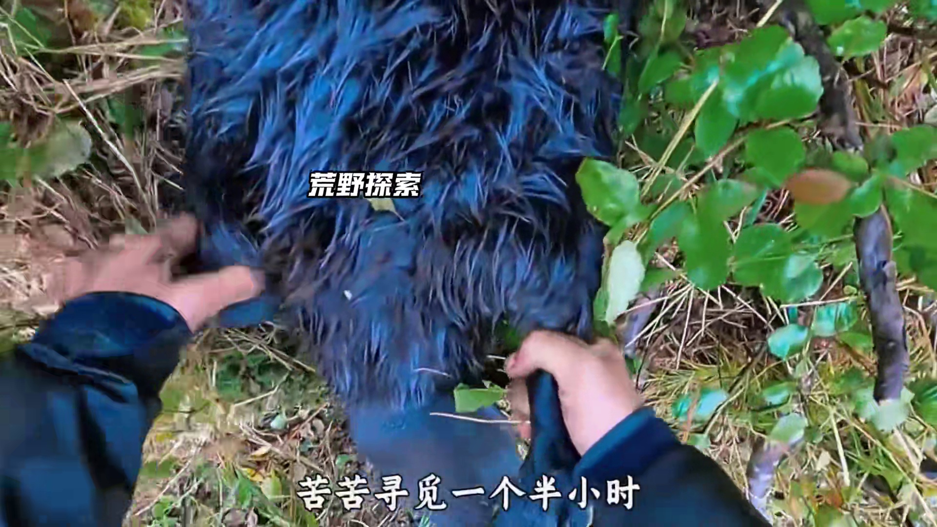 10人北极荒野求生，大佬直接捕获40斤海狸，彻底实现了烤肉自由