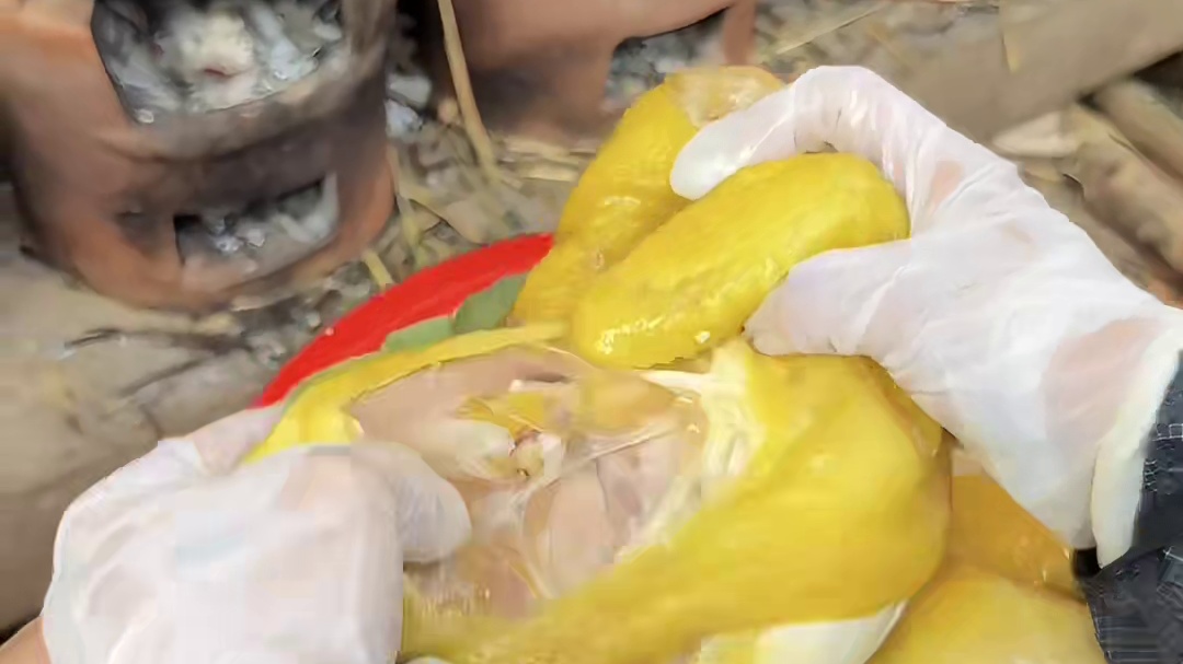 藏在福建漳州村子里的柴火瓦缸鸡饭，味道简直绝了！