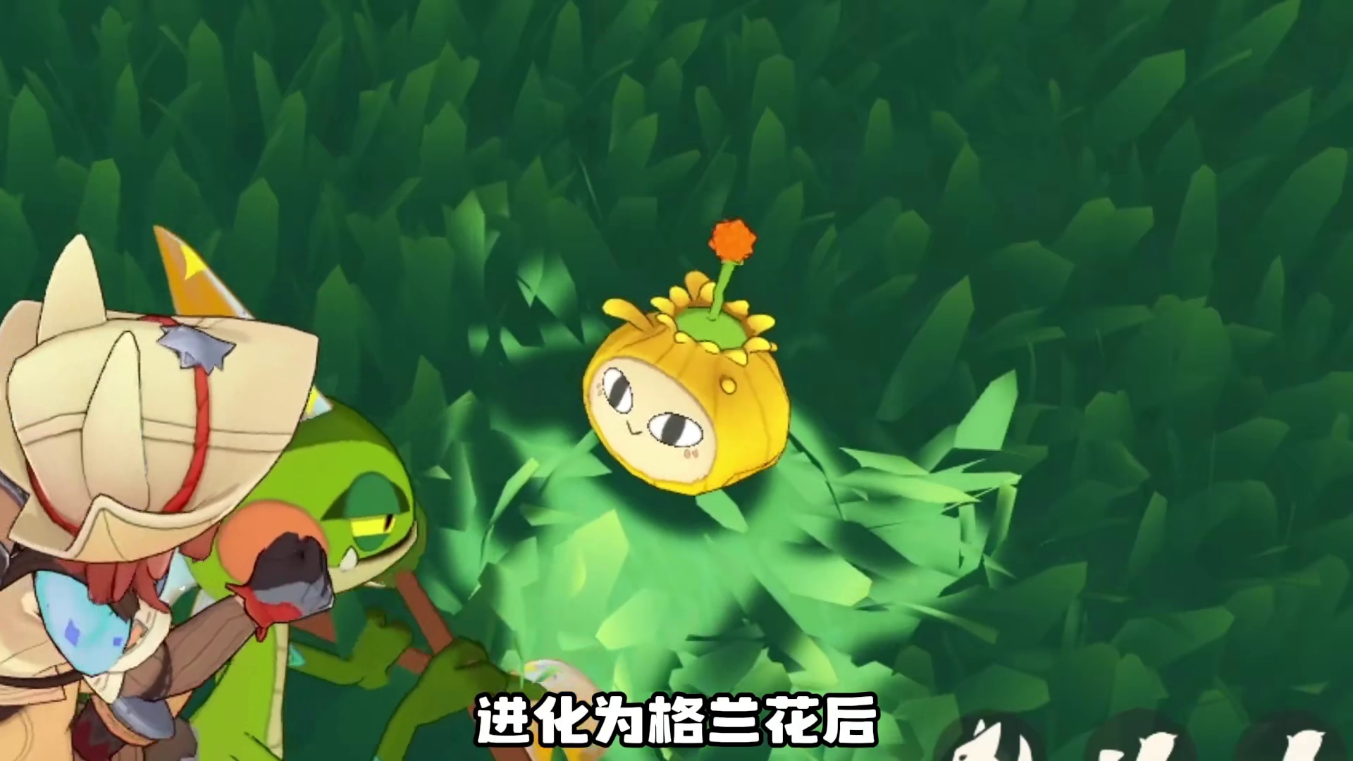 洛克王国精灵生态观察：格兰种子