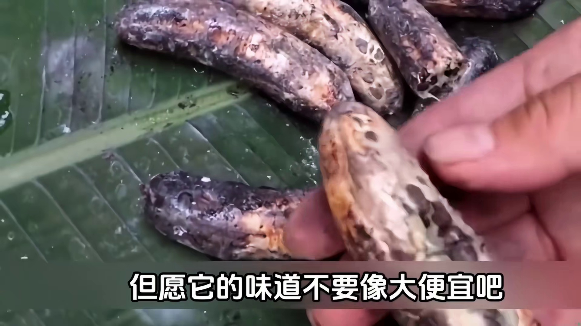 国内荒野生存女性第一人麻雀姐湄公河流域荒野生存