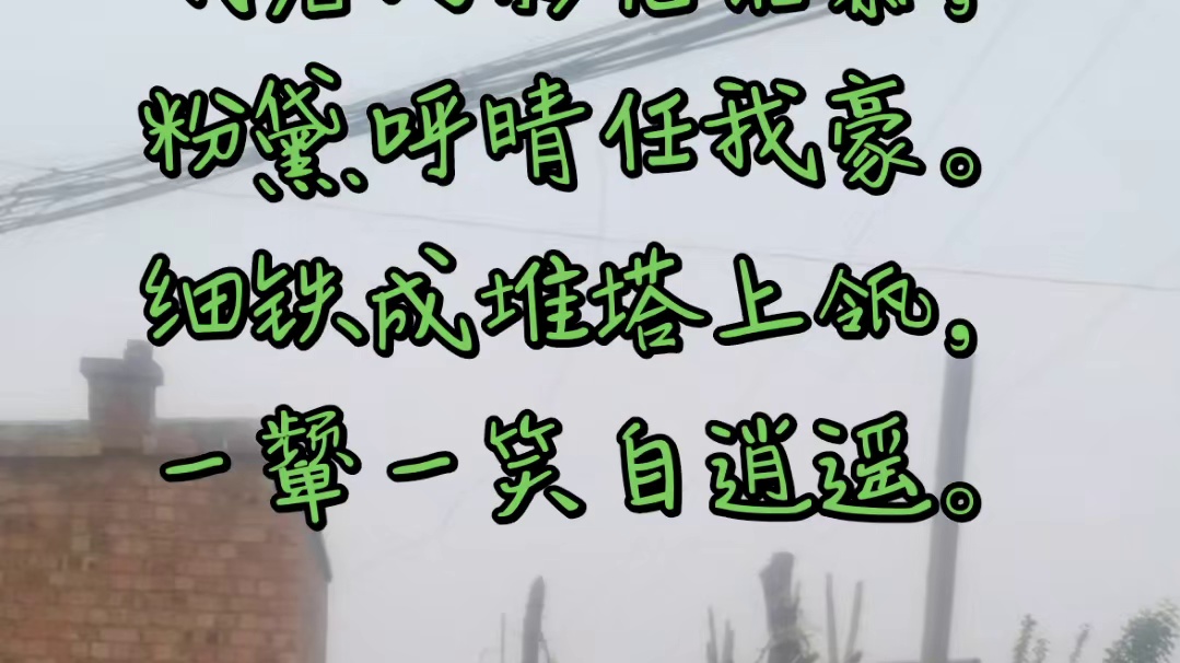 喜 鹊 筑 巢 有 感
             囗 雪 莹