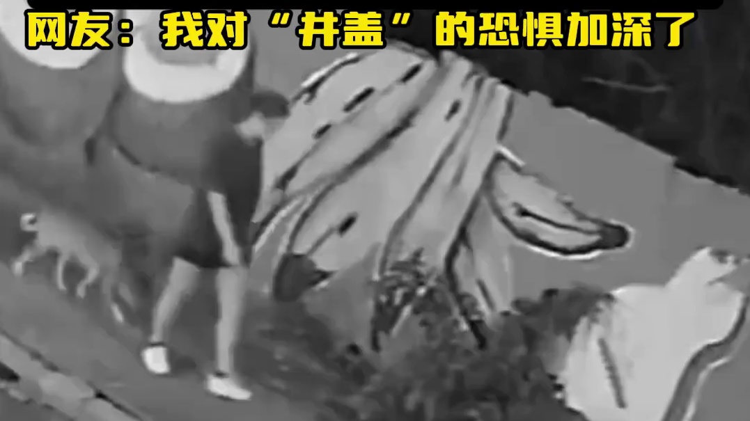 巴西一女子遛狗时突然“被大地吞噬” 网友：对“井盖”的恐惧又加深了