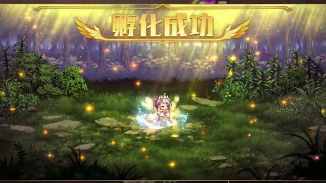 五一套和至尊宠物哪个优先级高，至尊宠物怎么合成最合适，宠物孵化和宠物放生是什么意思