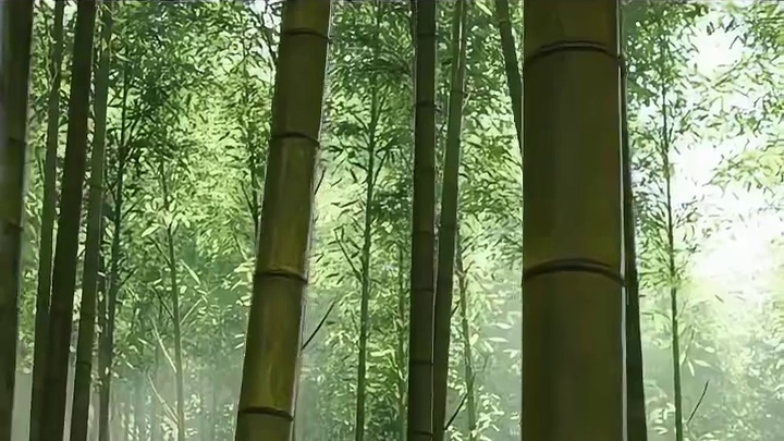 我已经和好兄弟约好，在榛名山来一场 1v1 峠道对决，看看谁才是真正的秋名山车神了！