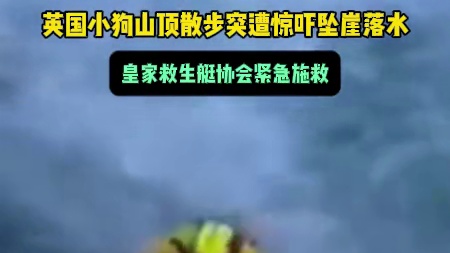 英国小狗山顶散步突遭惊吓坠崖落水 皇家救生艇协会紧急施救