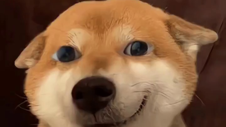 朱开鸡汤杯