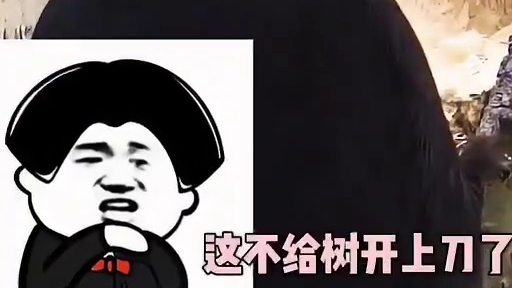 啄木鸟给树抓虫。树：我不治了行吗