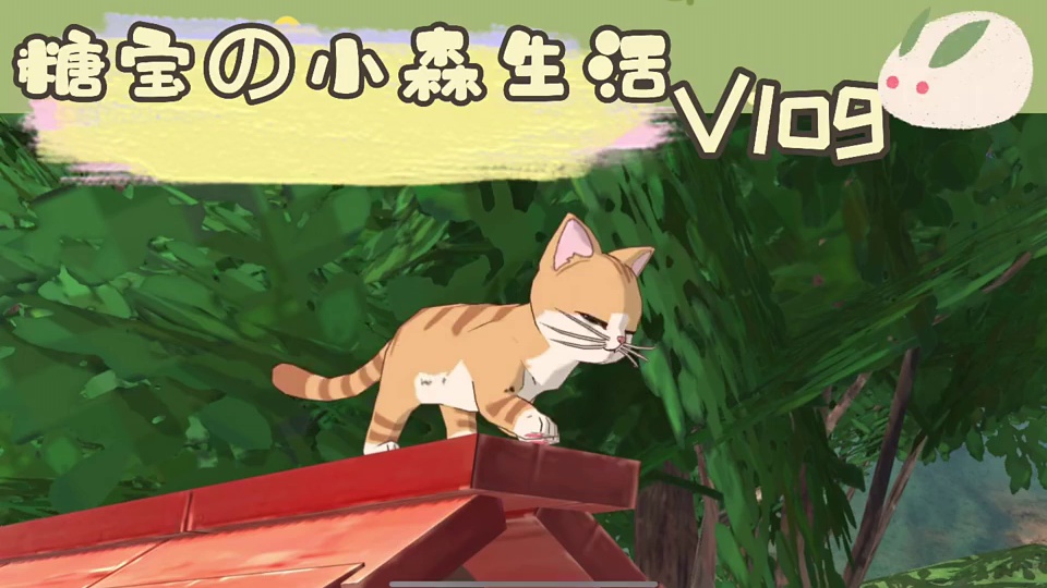 猫猫的到来#小森生活