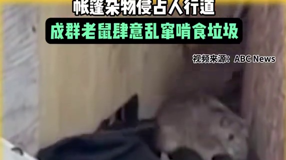 洛杉矶市中心流浪汉营地鼠患肆虐：帐篷杂物侵占人行道，成群老鼠肆意乱窜啃食垃圾
