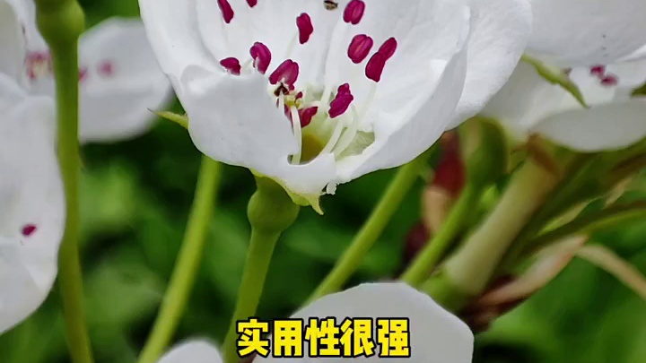 黑鲨5 Pro游戏手机体验：很强，很全面！是你的菜吗？ #数码新品种草官 #2022财是机会