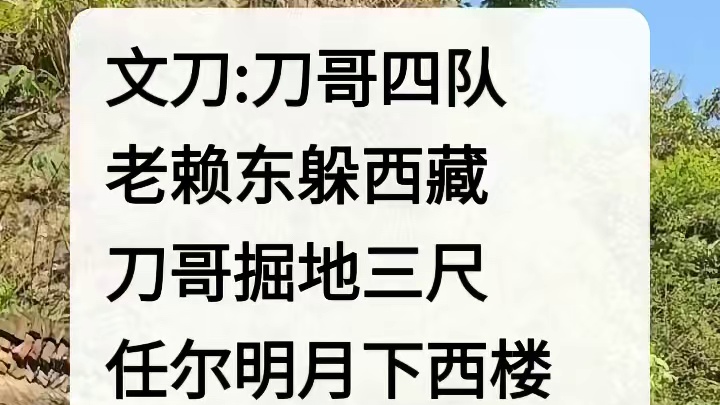 文刀:刀哥四队
老赖东躲西藏
刀哥掘地三尺
任尔明月下西楼
穷追不舍拿钱来！