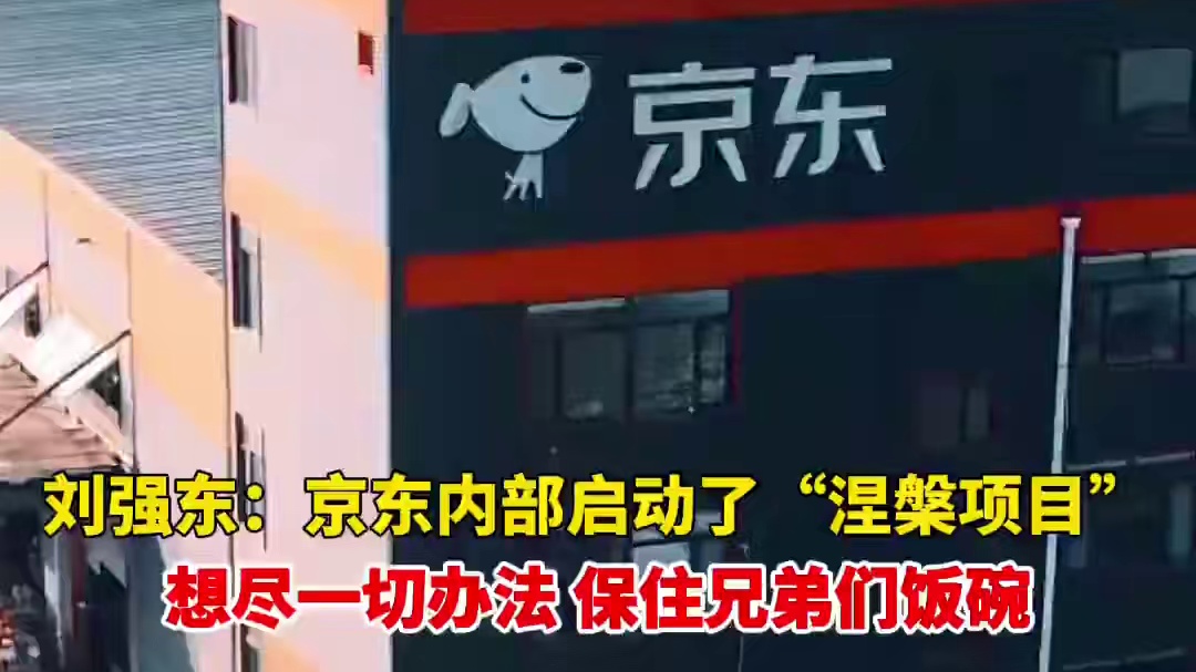 刘强东最新内部讲话曝光：启动“涅槃项目”，尽可能保住一线员工们的饭碗。 #