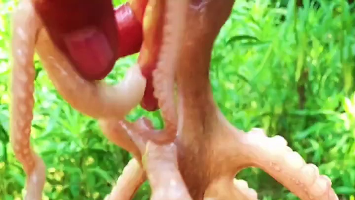 #美食趣味计划 #厨房