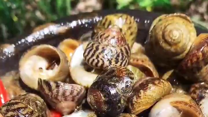 这几天家里都下雨！没有拍视频对不起大家了。#美食 #厨房  #我想馋你