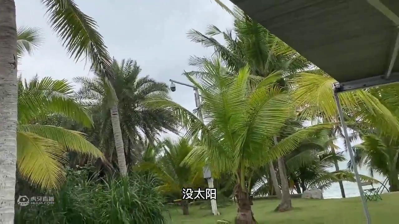 小羊房车驻车在海边，今天自己做糟粕醋粉丝，看看味道怎么样？