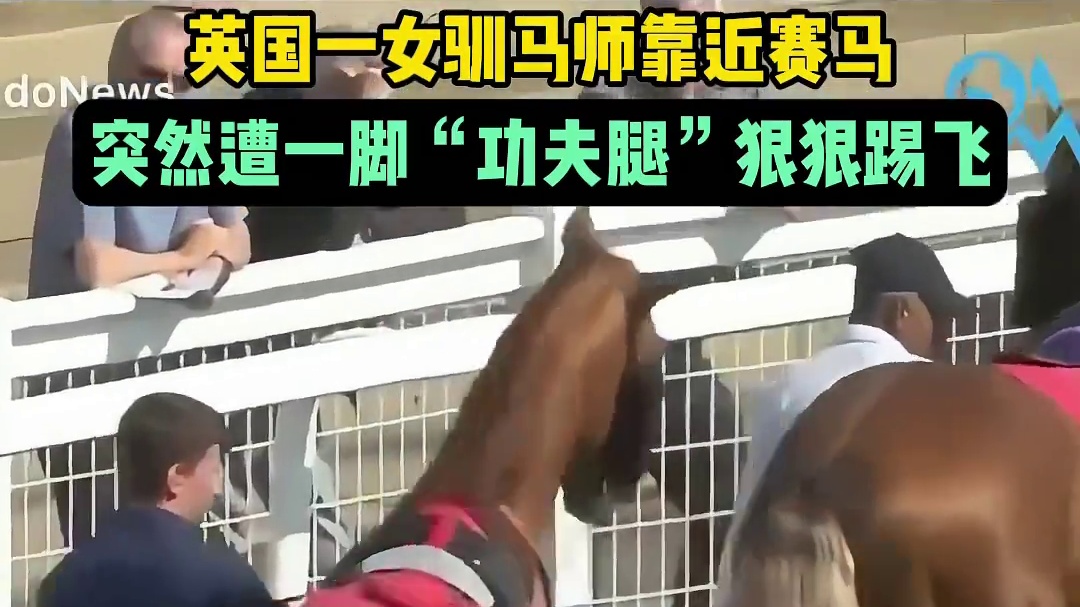 英国一女驯马师靠近赛马，突然遭一脚“功夫腿”狠狠踢飞