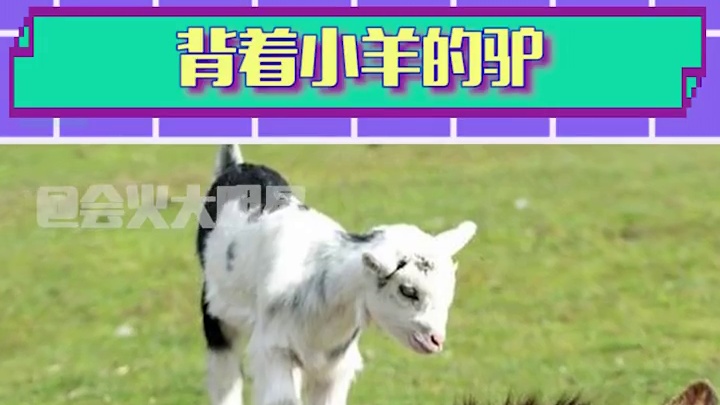 芜湖 羊羊：好舒胡啊