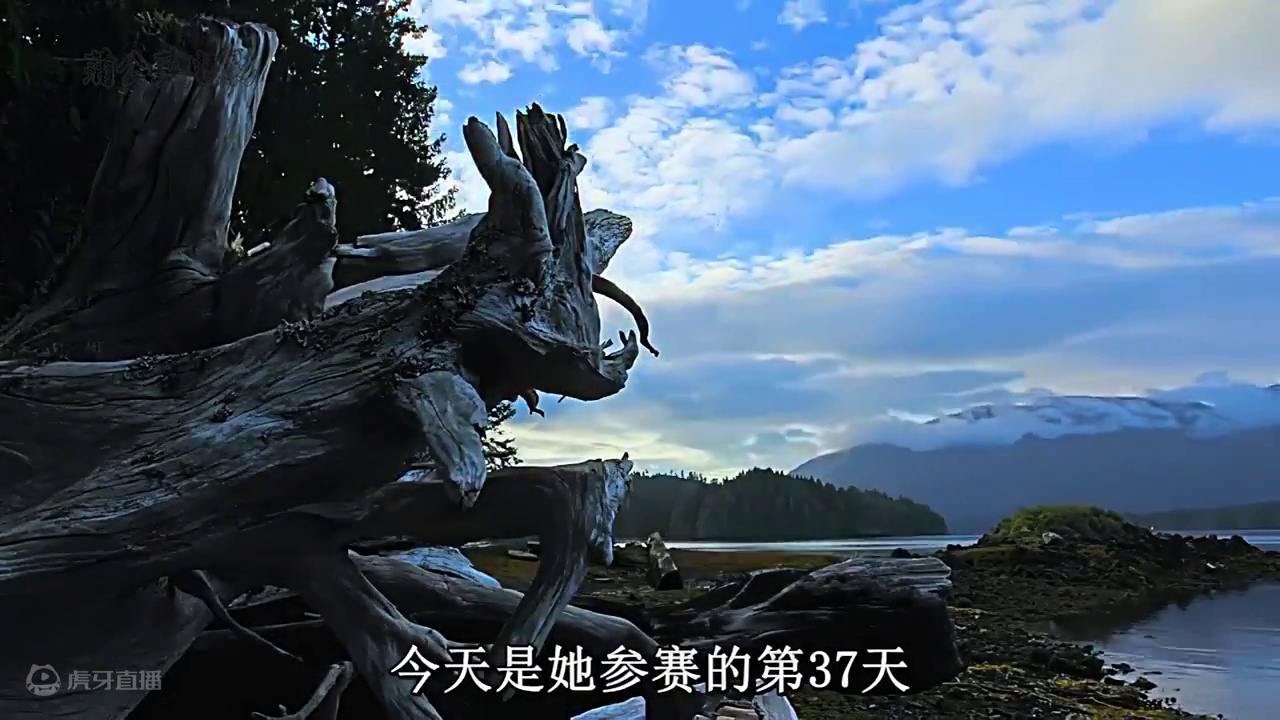 妹子前期太浪搞放生，如今只能吃熊的剩饭 #野外生存  #荒岛求生  #纪录片