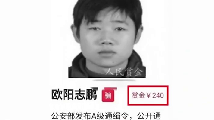4块钱的TJ犯，一涨价立马落网...#欧阳志鹏 