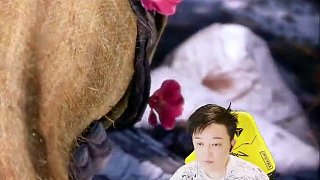 奎爺老婆復(fù)活成為新主角