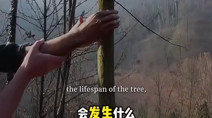 如果一直不放手會怎樣