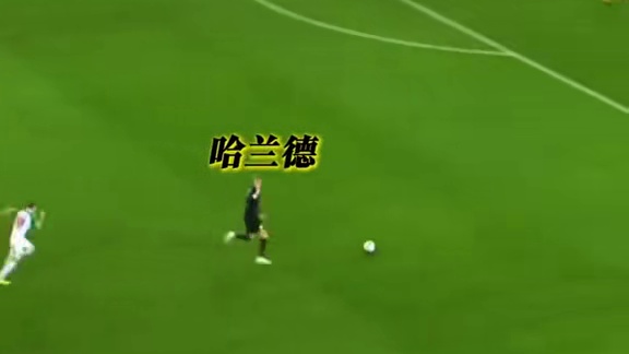 前来助阵，一同为哈兰德呐喊助威