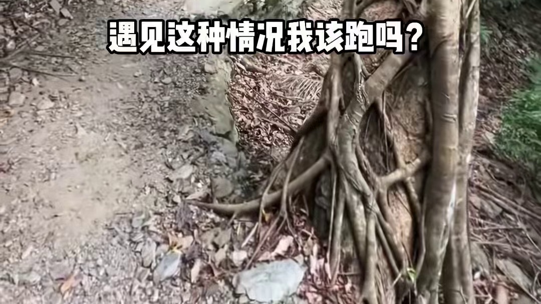 遇到这种情况我该跑吗？