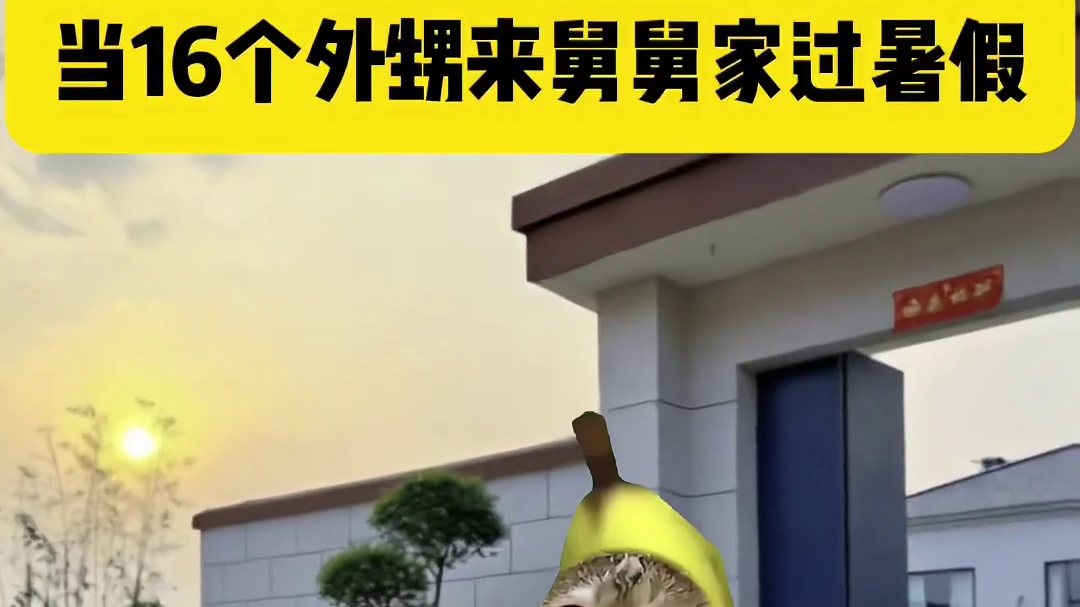当16个外甥来舅舅家过暑假 #猫meme #猫meme小剧场 #搞笑 #暑假