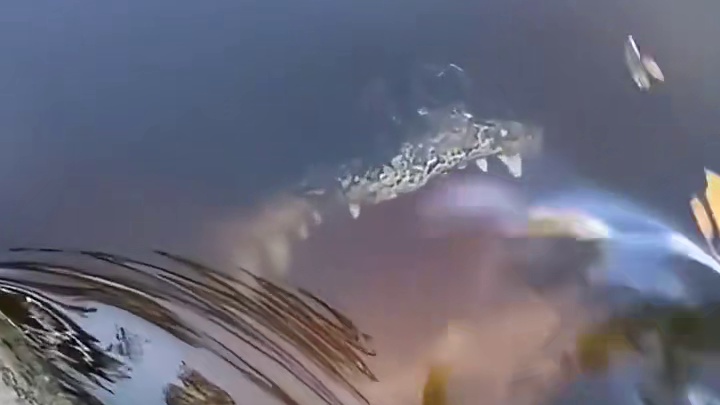 不能是睡着了吧！