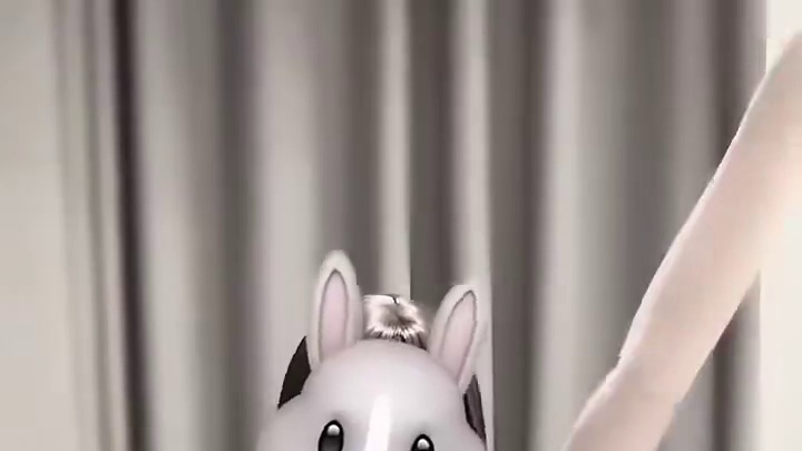 救护车来抬走被我迷晕的你