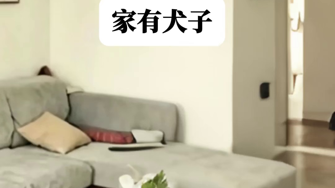 把儿子当犬子，省时又省力 #猫meme #犬子#搞笑#段子#搞笑视频