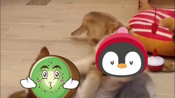 鹅桃虐恋升级 《创造营》VS《青你3》打起来了！
