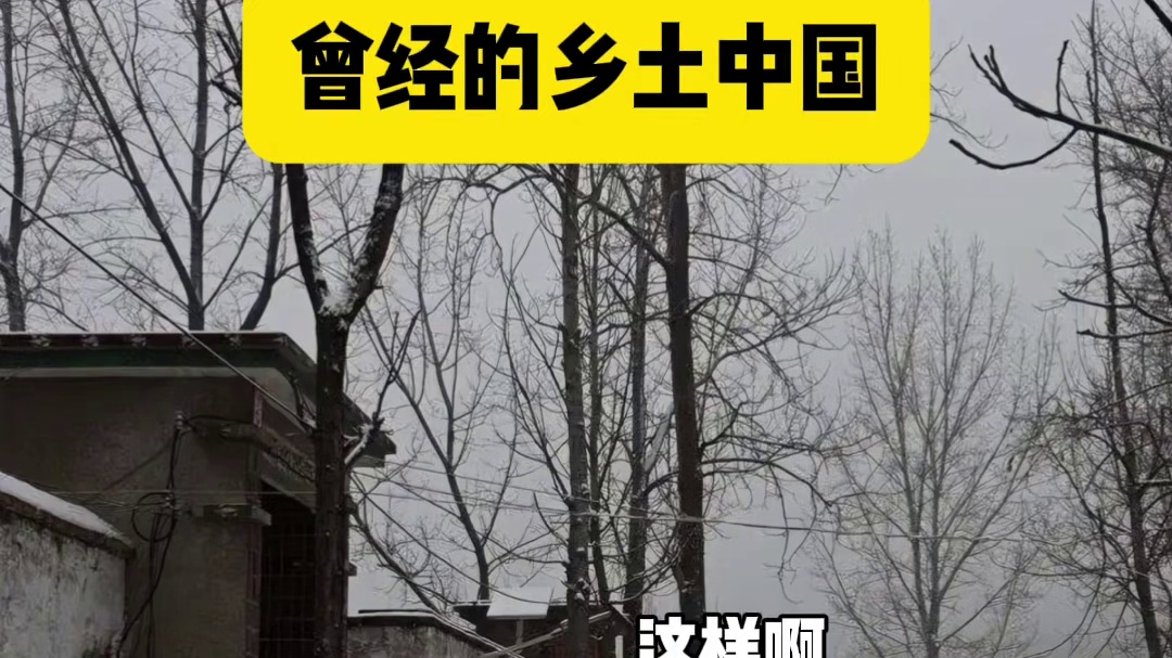 曾经的乡土中国 #猫meme #乡土中国 #乡愁记忆 #内容过于真实 #家乡
