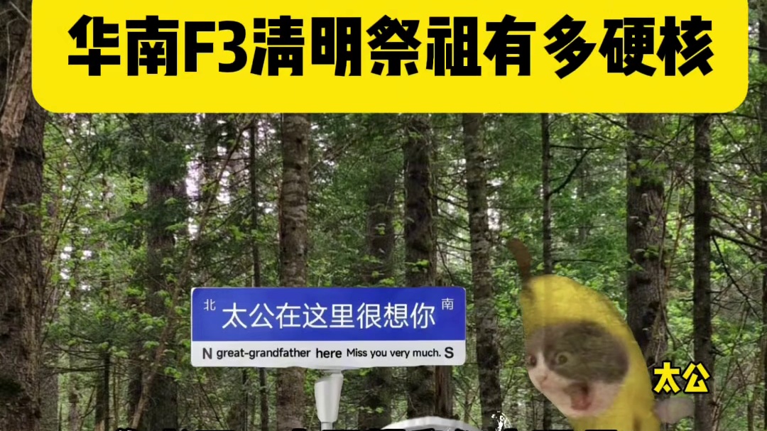 华南F3清明祭祖有多硬核 #猫meme #