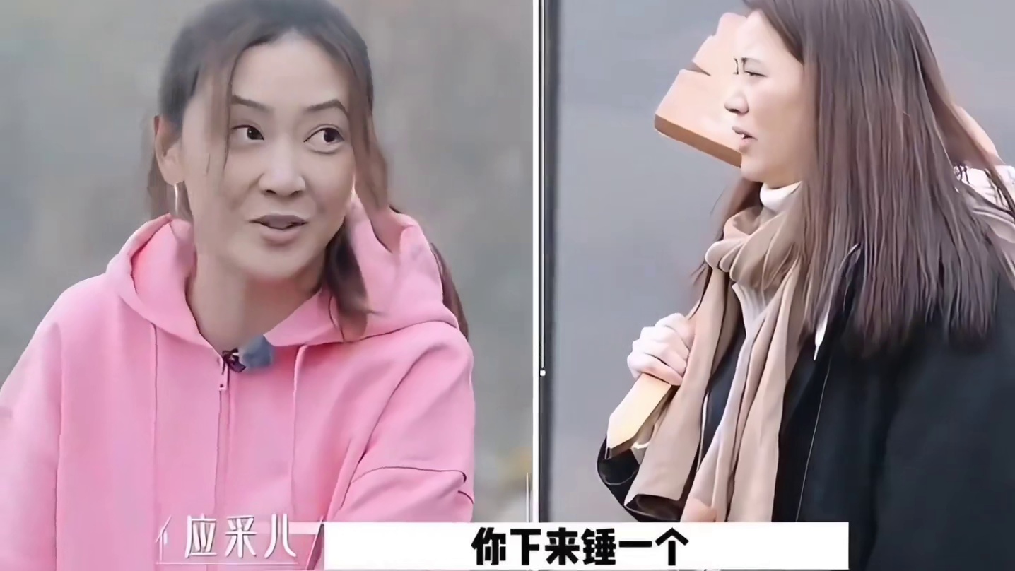 袁咏仪：你没吃饭吗 应采儿