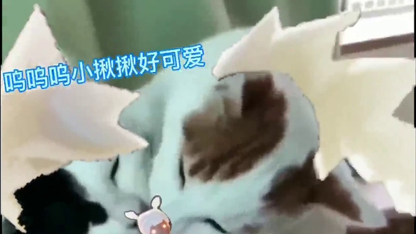 【光遇】龙骨卡卡...你们不要再舔了啦...