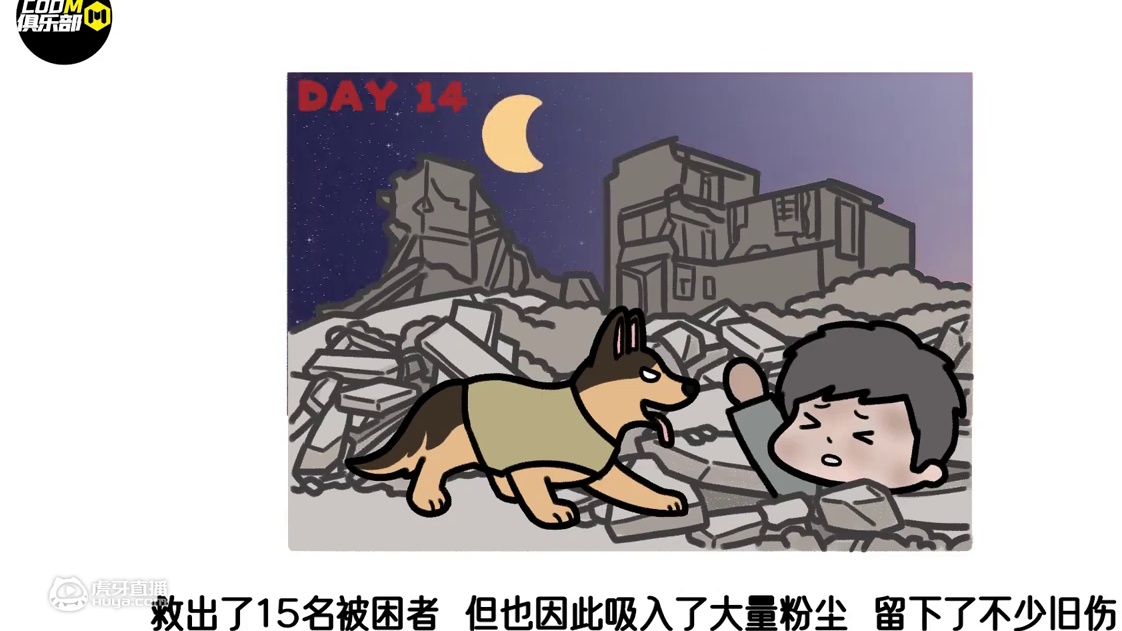 为啥二哈萨摩做不了军犬？【笔尖上的CODM第23期】