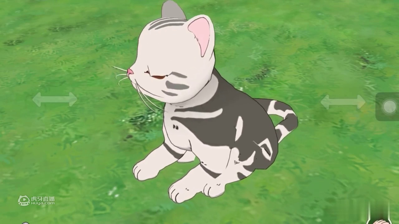 小森生活